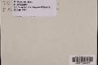 Media resource of Hypocrea citrina