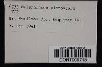 Media resource of Melanoleuca microspora
