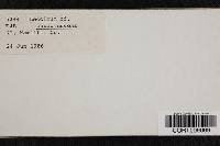 Thumbnail image of current specimen