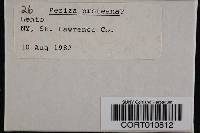 Media resource of Peziza proteana