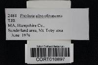 Thumbnail image of current specimen