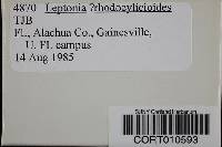 Media resource of Leptonia rhodocylicioides