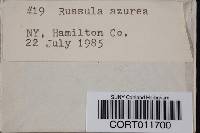 Media resource of Russula azurea