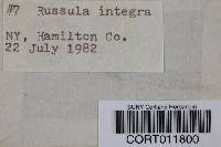 Media resource of Russula integra