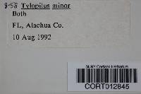 Image Associated With the Occurrence