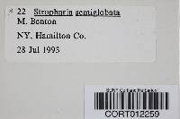 Thumbnail image of current specimen