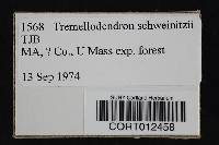 Thumbnail image of current specimen