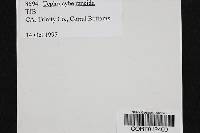 Image Associated With the Occurrence