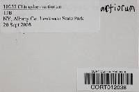 Image Associated With the Occurrence