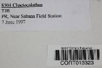 Image Associated With the Occurrence