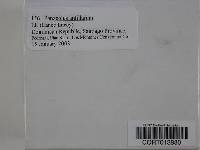 Image Associated With the Occurrence