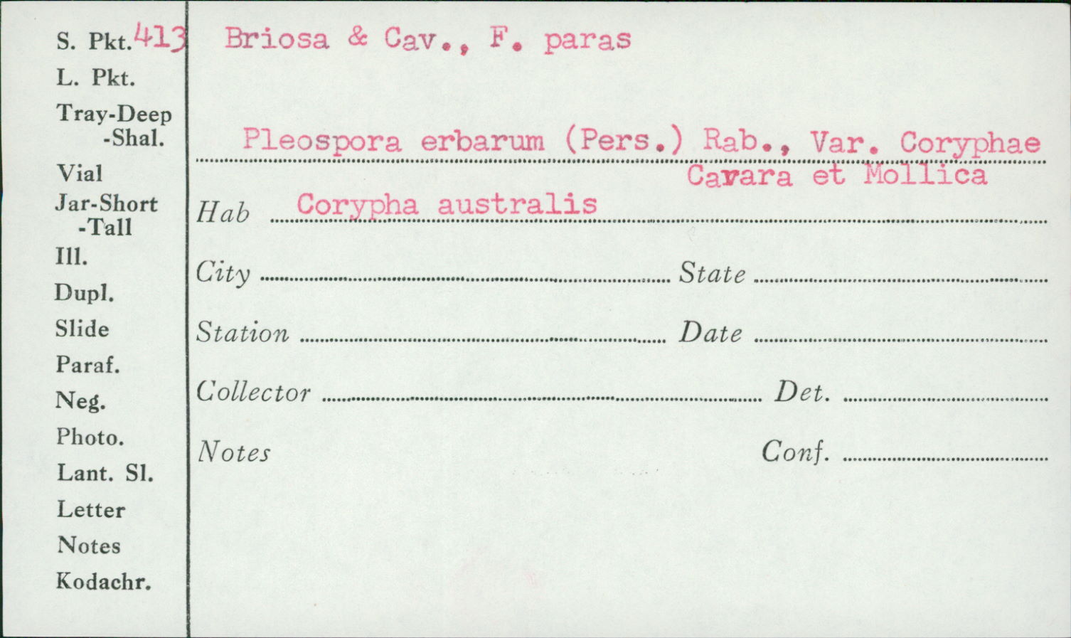 Pleospora
