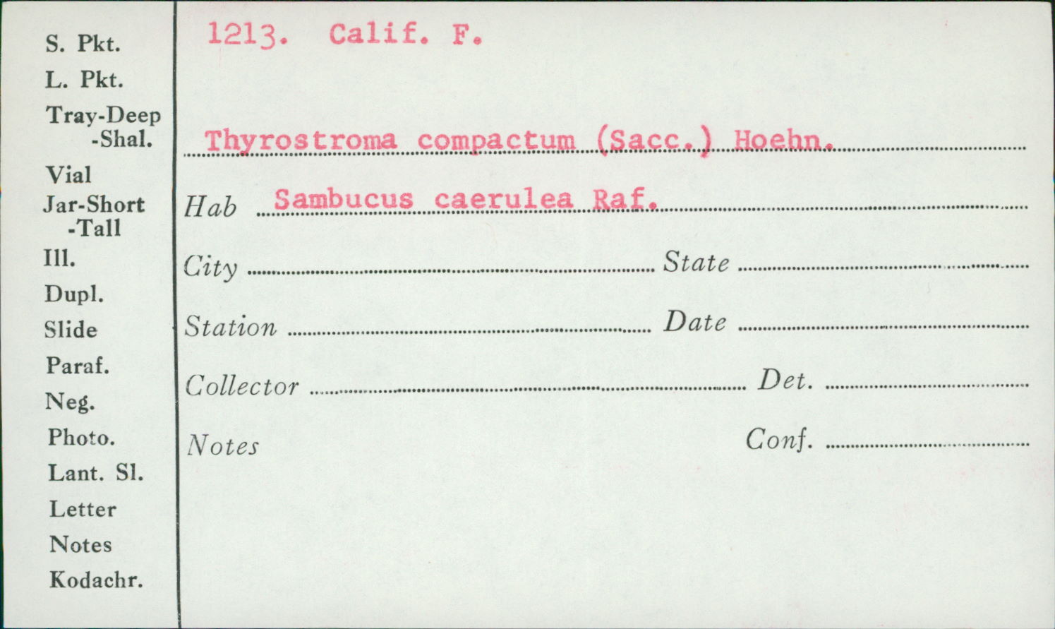 Thyrostroma