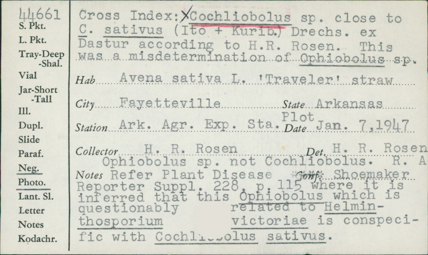 Ophiobolus
