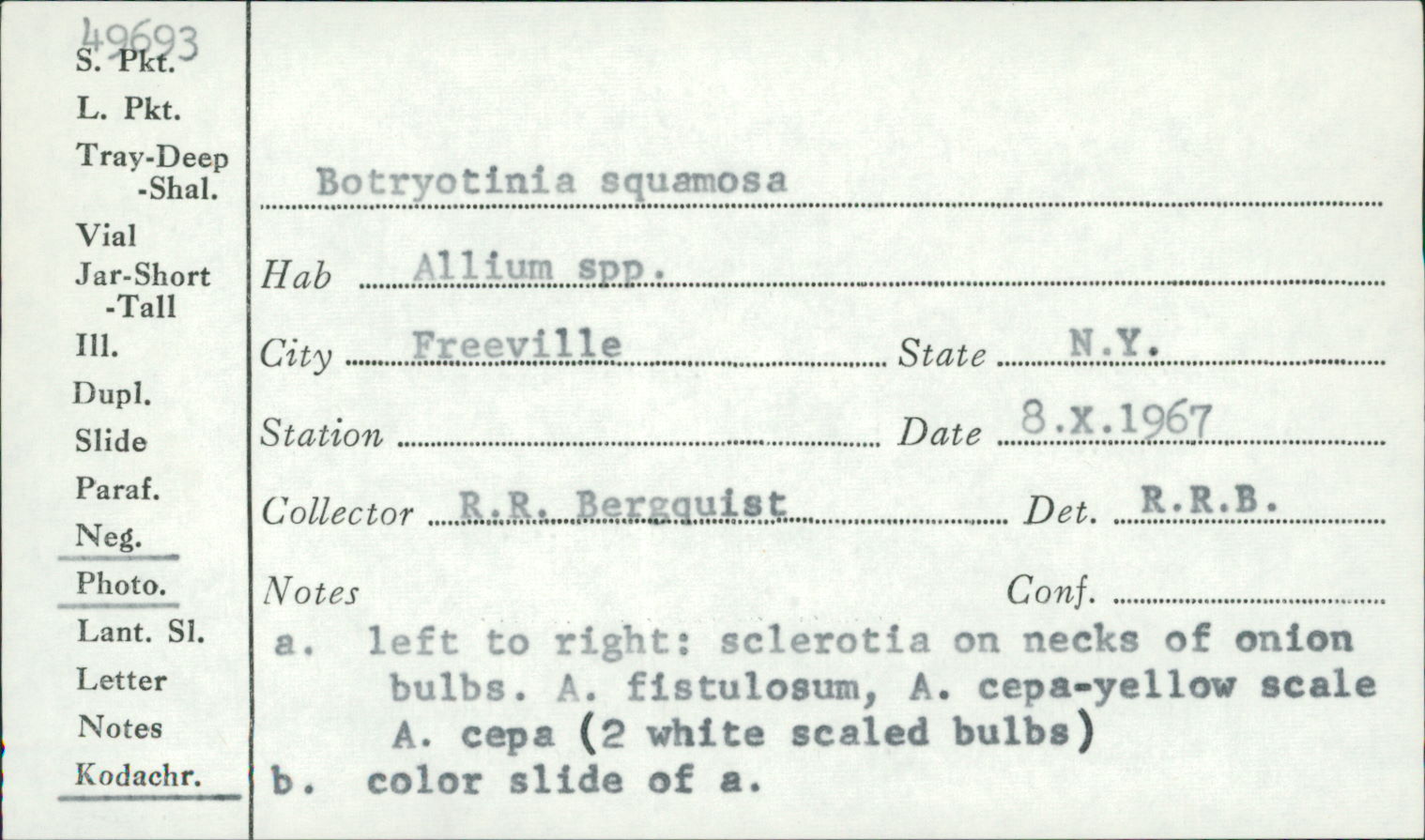 Botryotinia squamosa