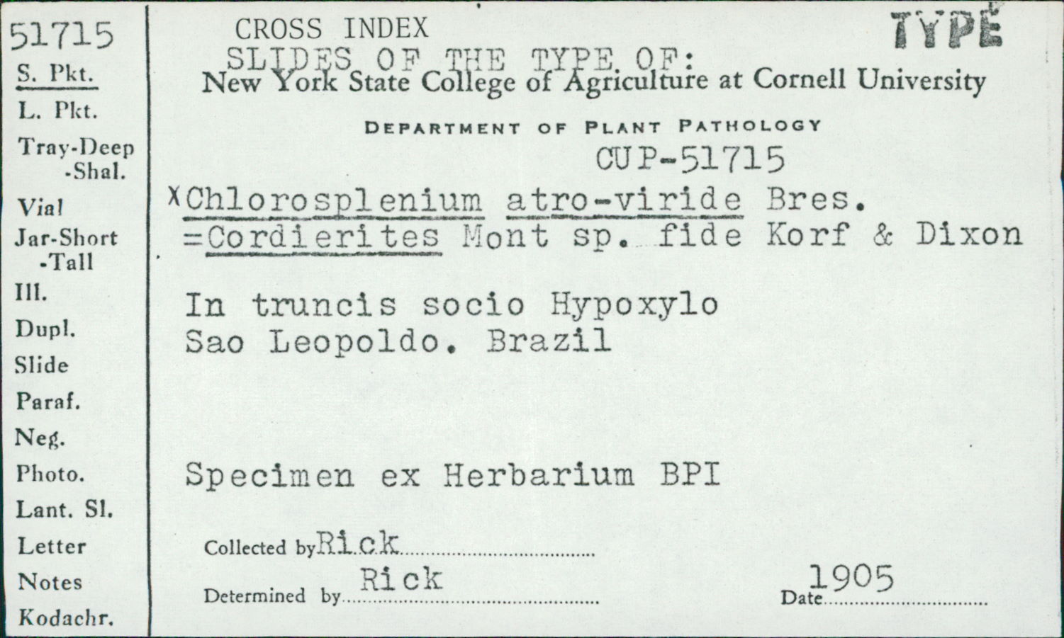 Cordierites