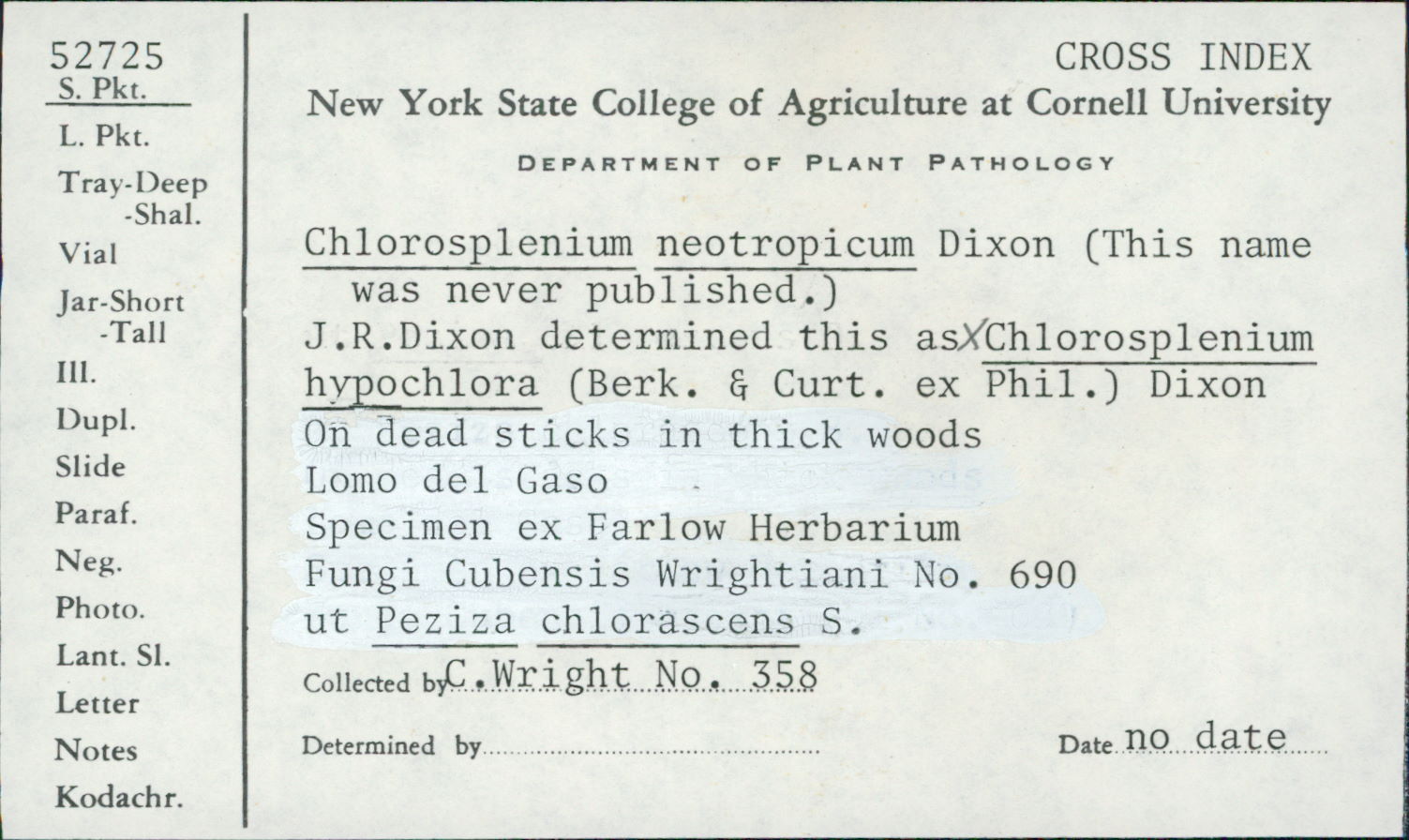 Chlorosplenium