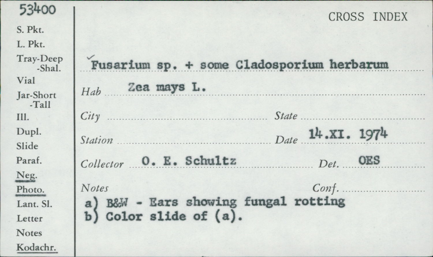 Cladosporium herbarum thumbnail