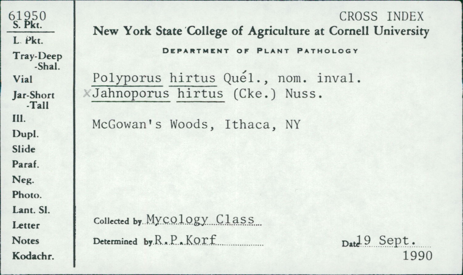 Jahnoporus hirtus