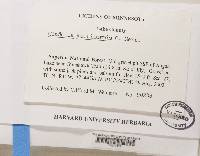 Thumbnail image of current specimen