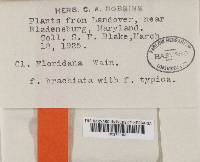 Thumbnail image of current specimen