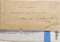 Image Associated With the Occurrence