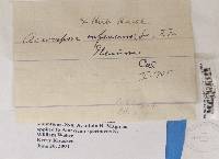 Image Associated With the Occurrence