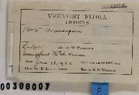 Image Associated With the Occurrence