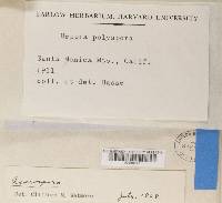 Image Associated With the Occurrence