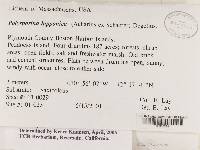 Image Associated With the Occurrence