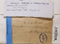 Image Associated With the Occurrence