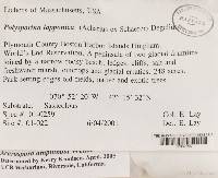 Image Associated With the Occurrence