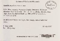 Image Associated With the Occurrence