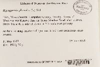 Image Associated With the Occurrence