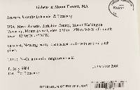 Media resource of Lepraria borealis