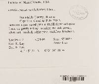 Image Associated With the Occurrence