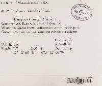 Image Associated With the Occurrence