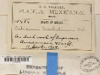 Image Associated With the Occurrence