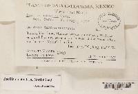 Image Associated With the Occurrence