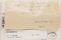 Image Associated With the Occurrence