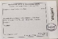 Image Associated With the Occurrence