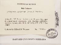 Image Associated With the Occurrence