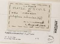 Image Associated With the Occurrence