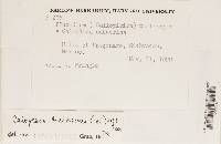 Image Associated With the Occurrence