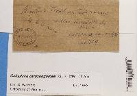 Image Associated With the Occurrence