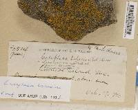 Image Associated With the Occurrence