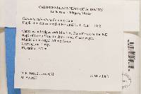 Image Associated With the Occurrence