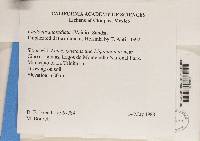 Image Associated With the Occurrence