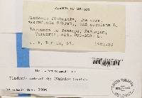 Image Associated With the Occurrence