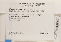 Image Associated With the Occurrence